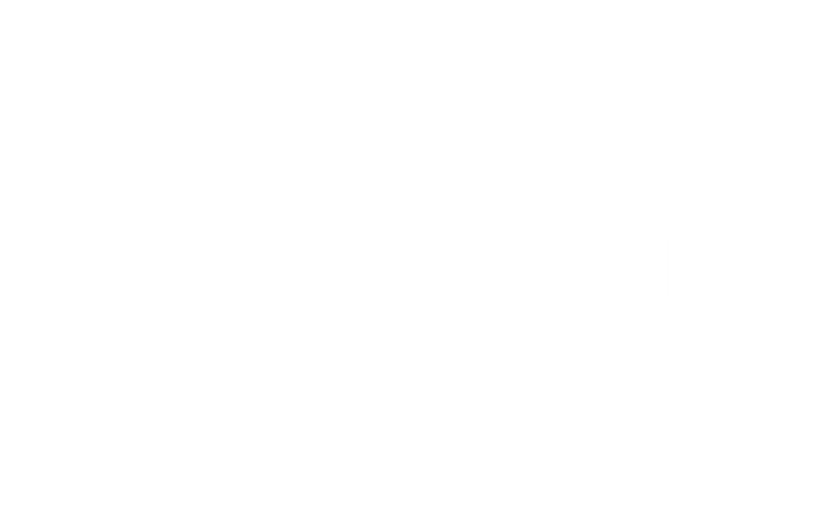 Next Level Concrete Solutions Inc. logo with contact info and slogan.